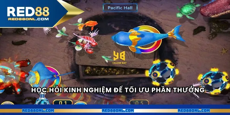 Học hỏi kinh nghiệm để tối ưu phần thưởng