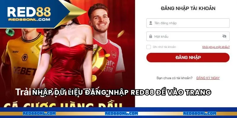Nhập dữ liệu đăng nhập RED88 để vào trang