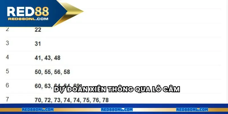 Dự đoán xiên thông qua lô câm