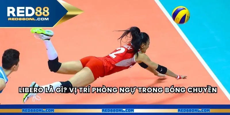 Libero là gì? Vị trí phòng ngự đặc biệt trong bóng Chuyền
