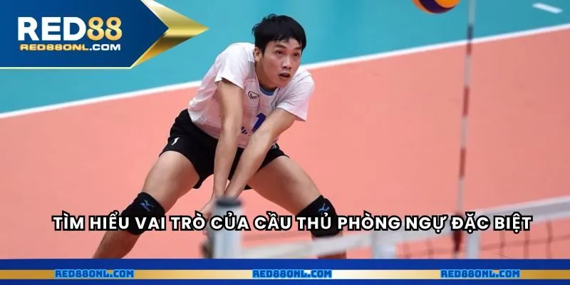 Tìm hiểu vai trò của cầu thủ phòng ngự đặc biệt