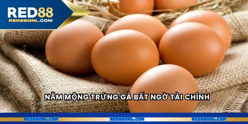 Nằm mộng trứng gà bất ngờ tài chính