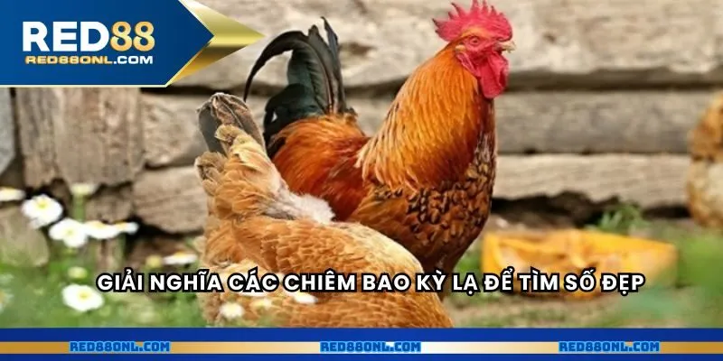 Giải nghĩa các chiêm bao kỳ lạ để tìm số đẹp