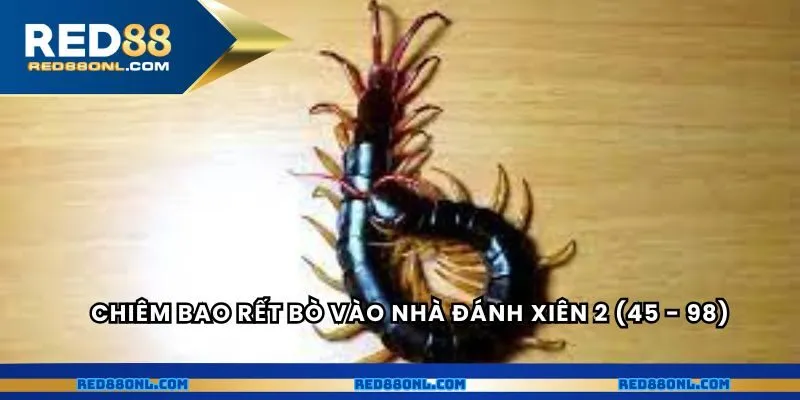 Chiêm bao rết bò vào nhà đánh xiên 2 (45 - 98)