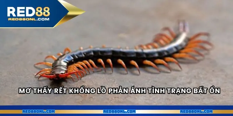 Nằm mơ thấy rết khổng lồ phản ánh tình trạng bất ổn