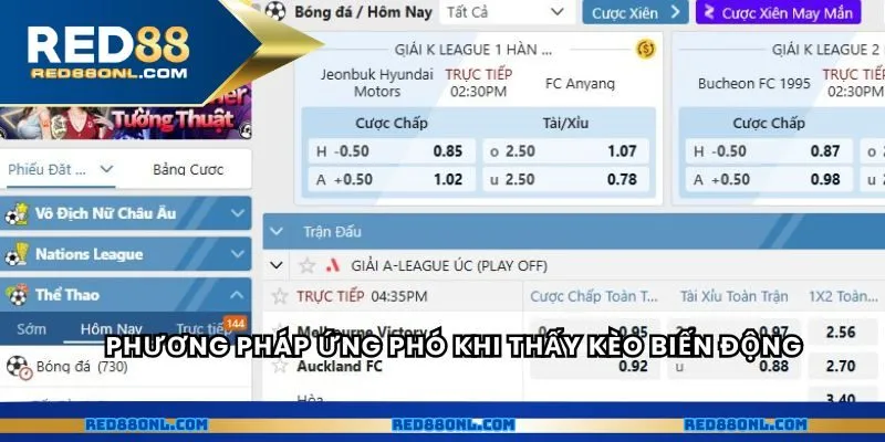 Phương pháp ứng phó khi thấy kèo biến động