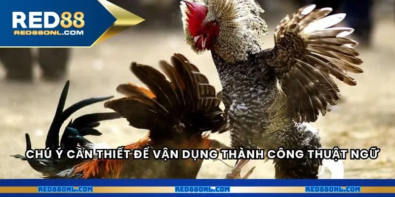 Chú ý cần thiết để vận dụng thành công thuật ngữ