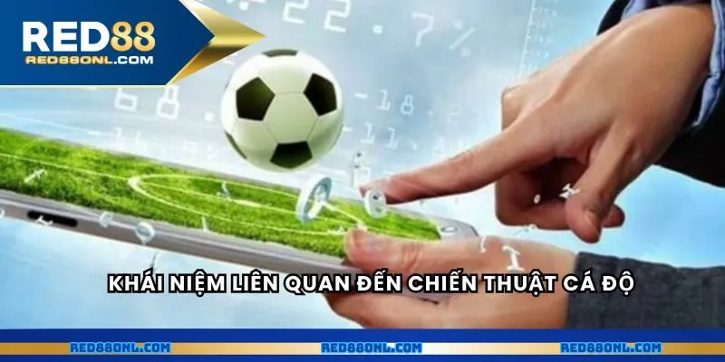 Khái niệm liên quan đến chiến thuật cá độ