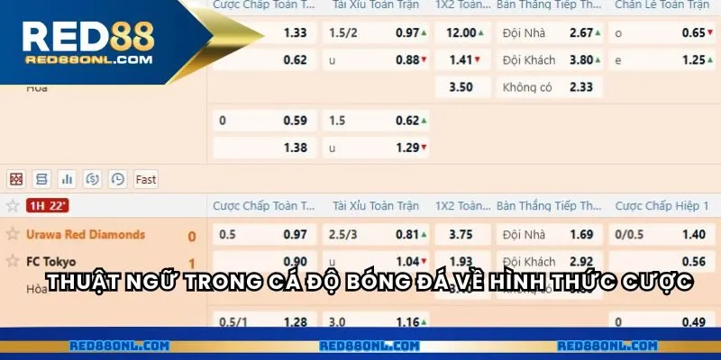 Thuật ngữ trong cá độ bóng đá về hình thức cược