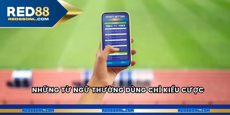 Những từ ngữ dân chơi cá độ thường dùng chỉ kiểu cược