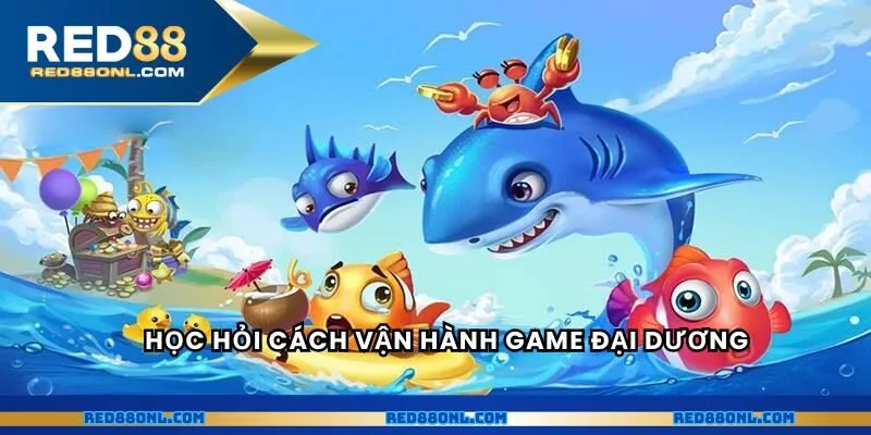 Học hỏi cách vận hành game đại dương